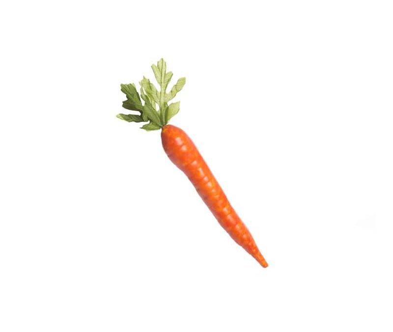 7″ Carrot w Green Leaves