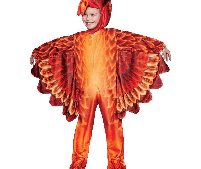 Turkey Costume