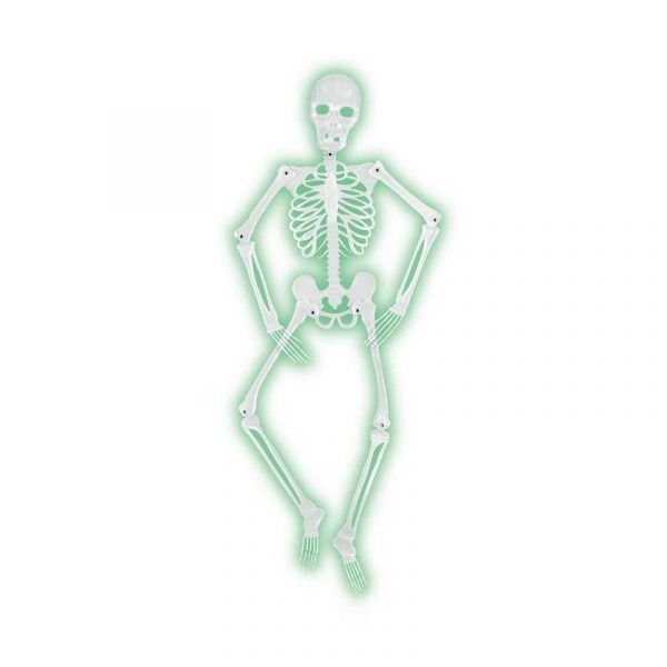 Mr Bones-A-Glo-Skeleton