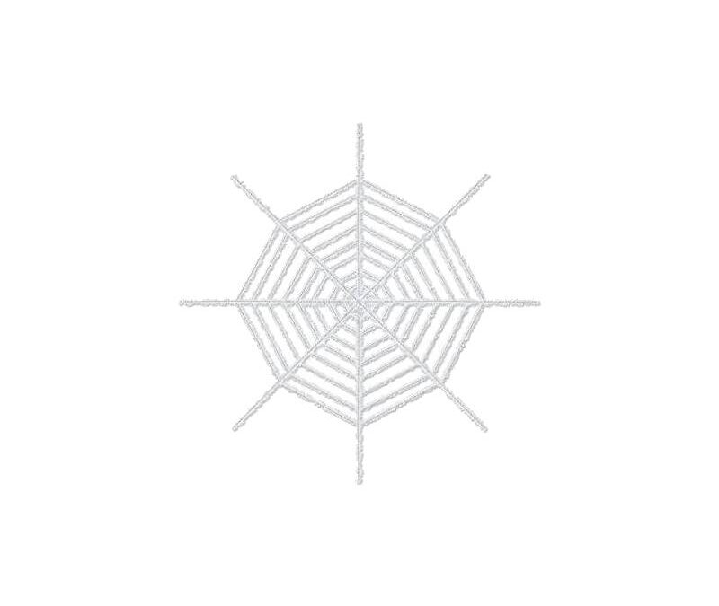 Giant Shimmering Spider Web