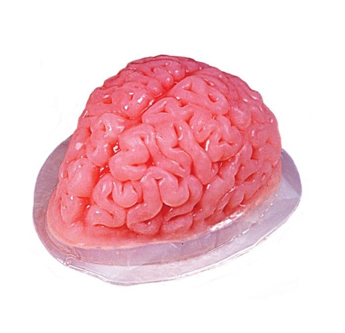 Gelatin Brain Mold