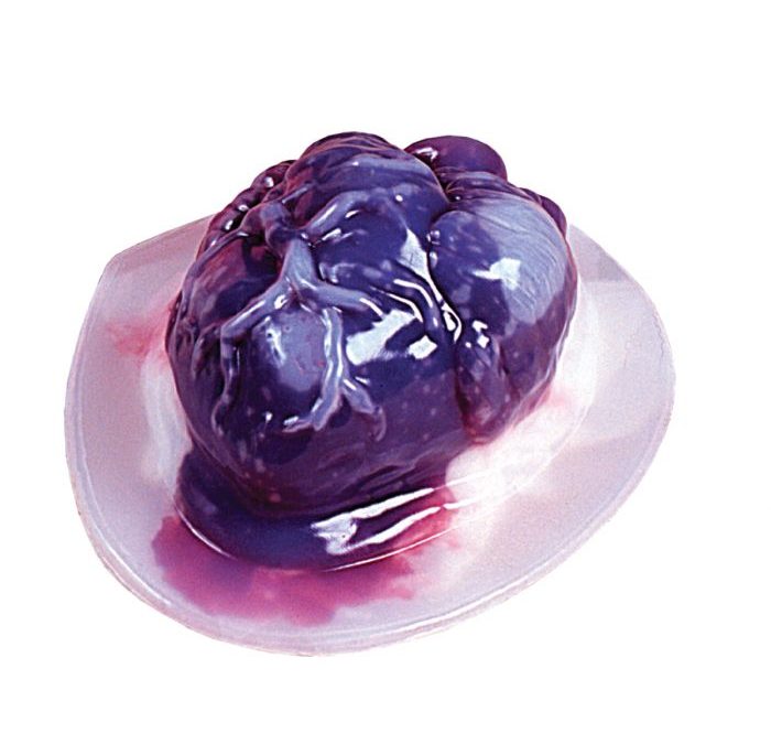 Gelatin Heart Mold