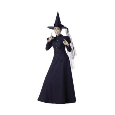 Deluxe black wicked witch adult costume with long dress and pointed witch hat.