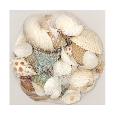Decorative Asst Sea Shells
