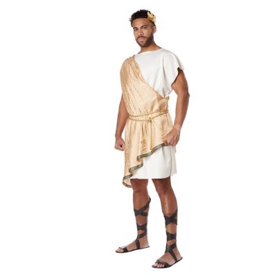 Toga Greek God Adult Costume