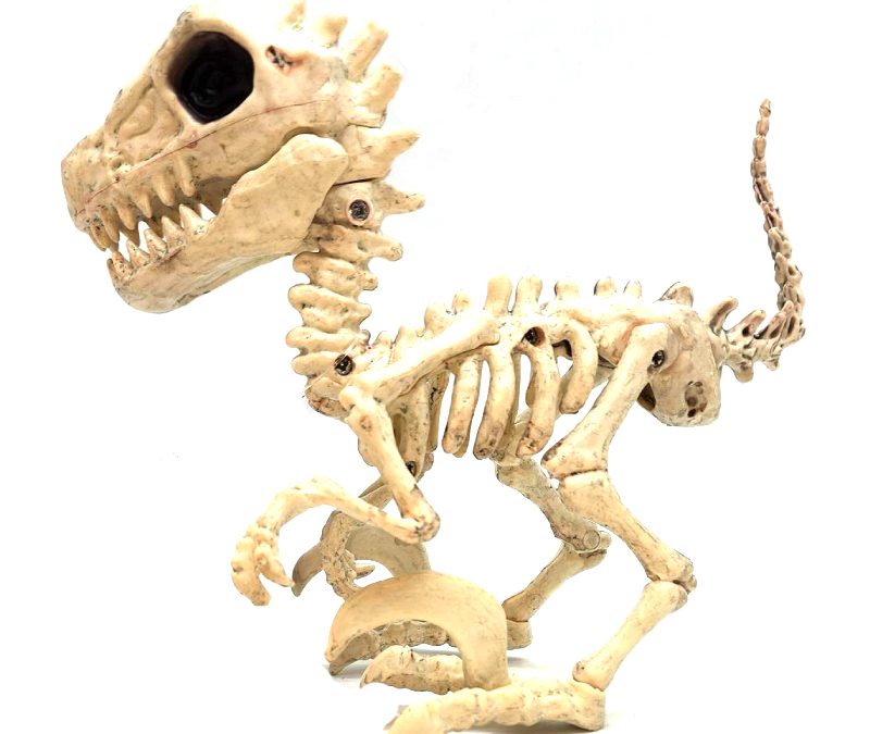 5.5″ Costume Plastic Dinosaur Raptor Skeleton
