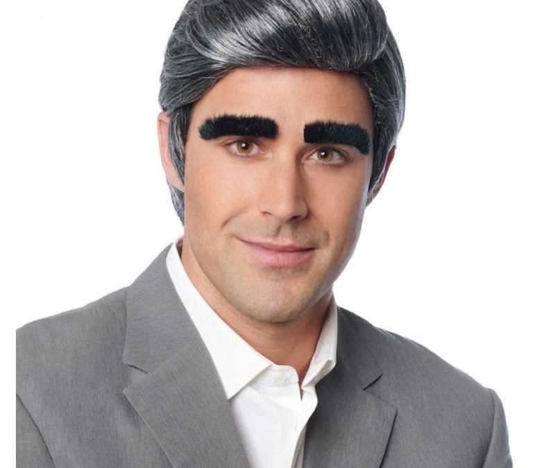 Johnny Wig w Eyebrows Adult Size