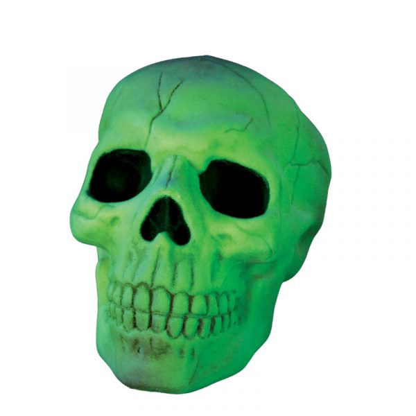 8" Costume Plastic GLOW Skull w Moveable Jaw