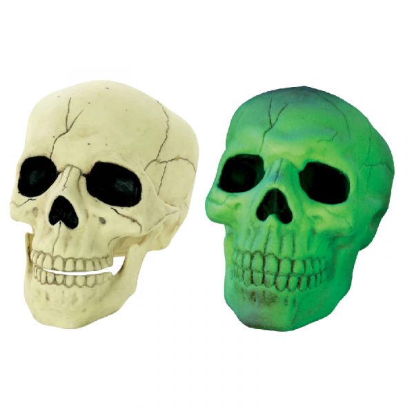 8" Costume Plastic GLOW Skull w Moveable Jaw