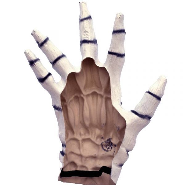 junior skeleton hands