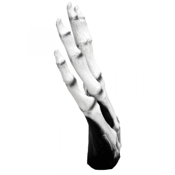 adult skeleton hands