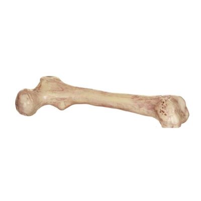 9" plastic skeleton bone