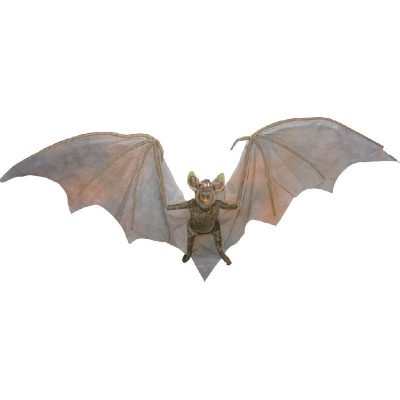 giant hanging vampire bat