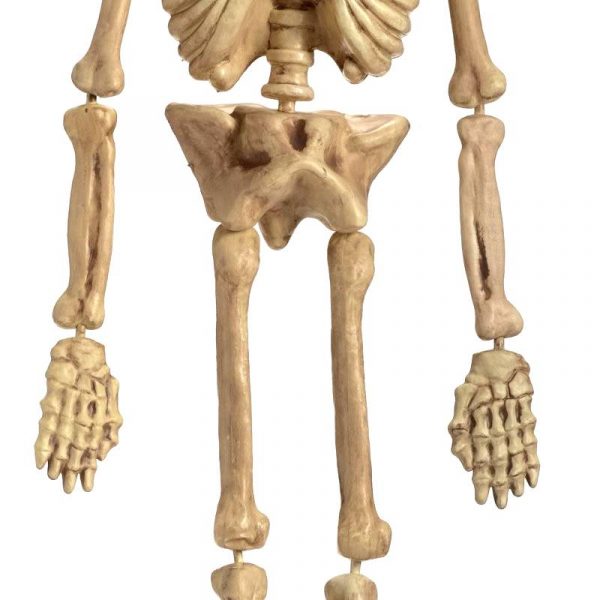 5' plastic 3-d molded skeleton