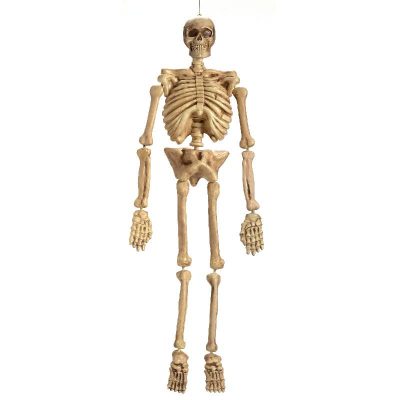 5' plastic 3-d molded skeleton