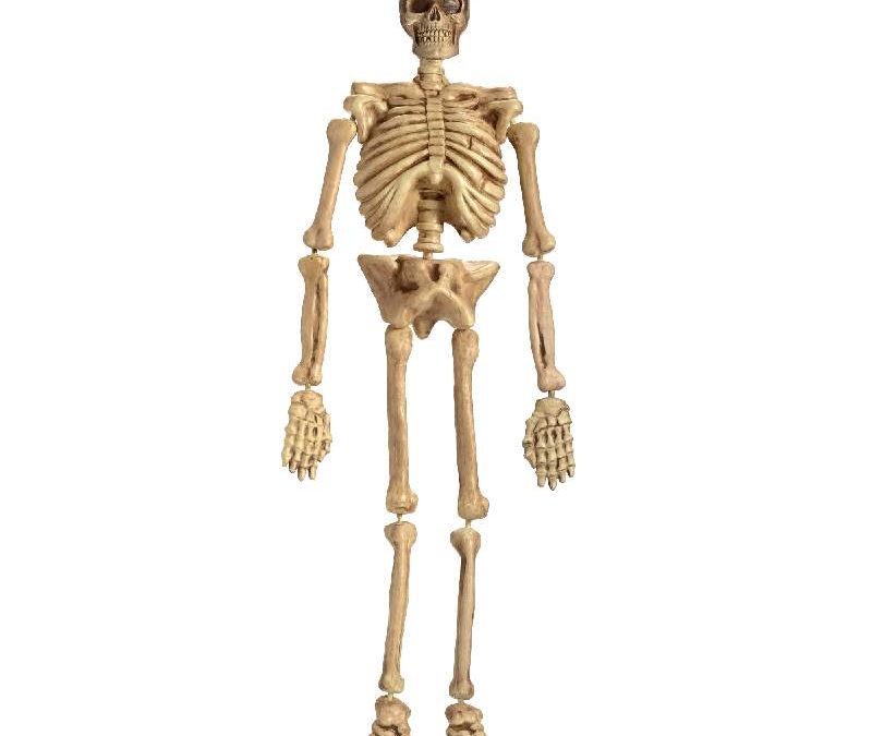 5′ Costume Plastic 3-D Molded Skeleton