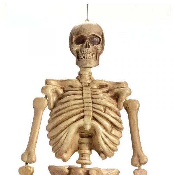 5' plastic 3-d molded skeleton