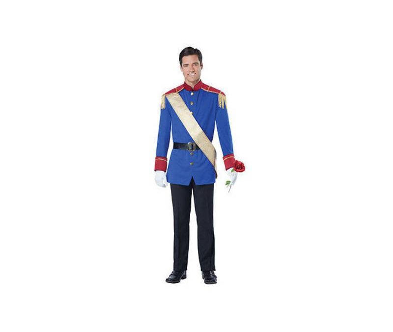 Prince Storybook Adult Costume