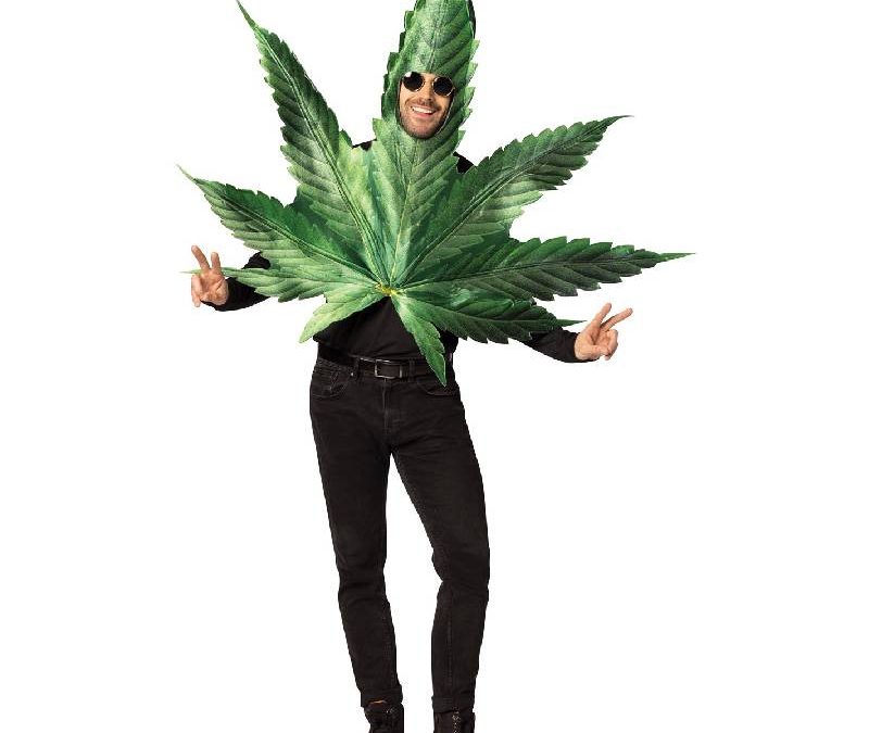 Pot Leaf Adult Costume