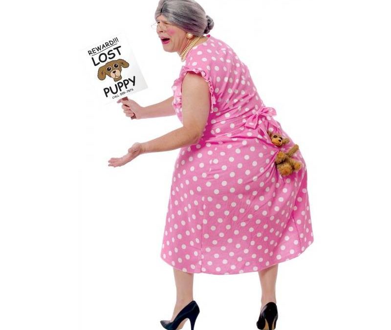 Lost Puppy® Adult Costume