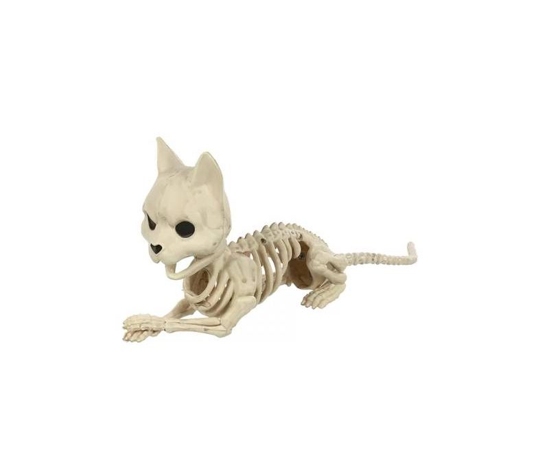 10″ Plastic Cat Skeleton