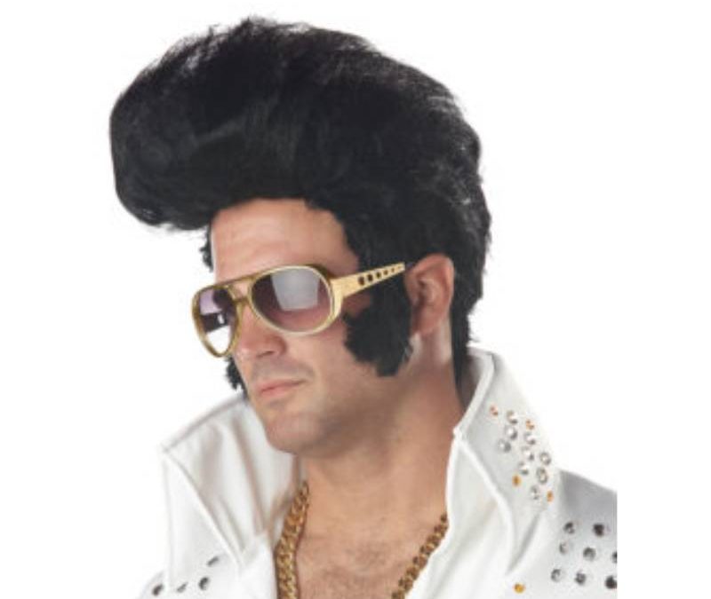 Rock & Roll King Elvis Presley Wig