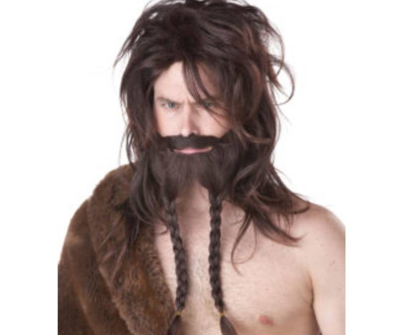 Viking Wig Beard & Moustache