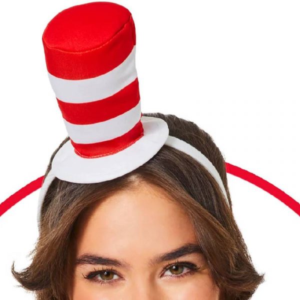 cat in the hat accessories kit