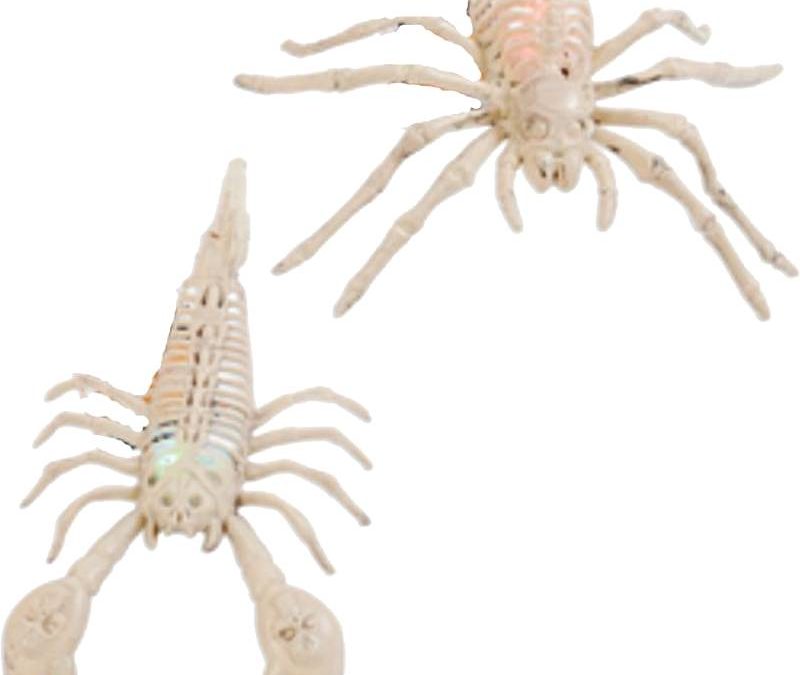 8″ Light-Up Plastic Spider or Scorpion Skeleton