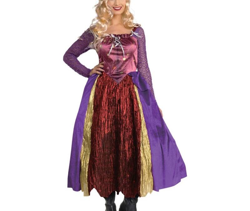Silly Witch Hocus Salem Sister Adult Costume