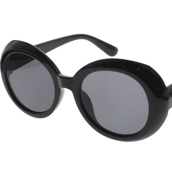 Mod Plastic Frame Sunglasses black