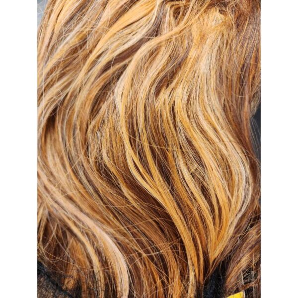 Montana Lace Front Wig brown/honey blonde