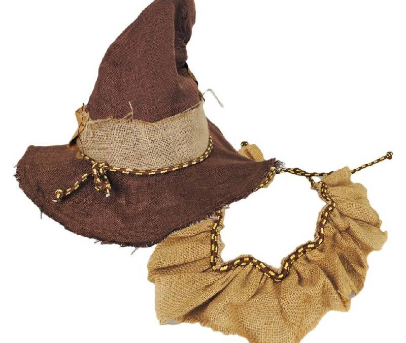 Burlap Scarecrow Hat and Collar