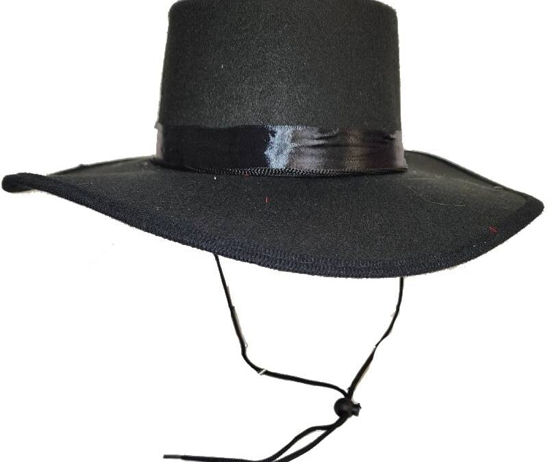 Wide Brim Flat Top Spanish or Amish Hat