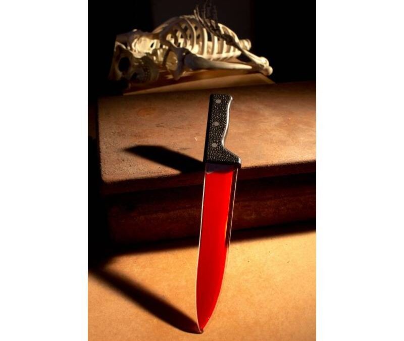 15.5″ Plastic Bleeding Butcher Knife