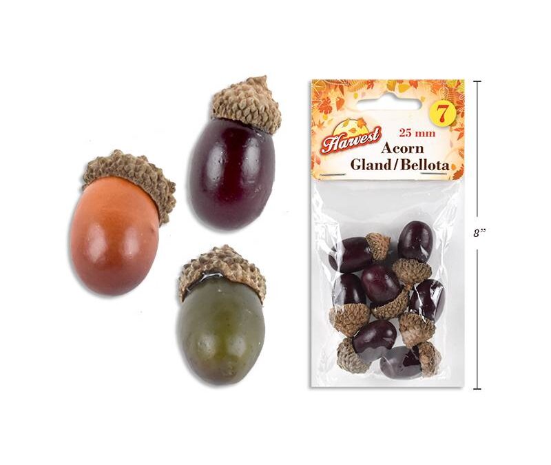 25mm Single Harvest Acorns