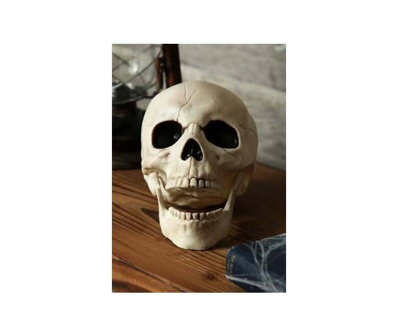8″ Plastic Skull w Moveable Jaw