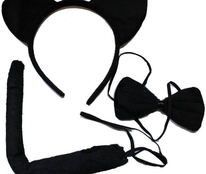 Plush Cat Ears Tail Bow Tie Set