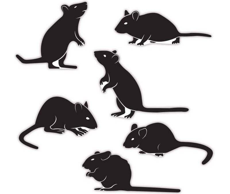 Mice Silhouettes