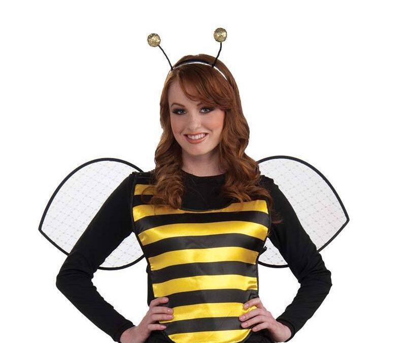 Deluxe Bumble Bee Accessories Set