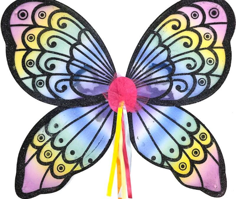 Sparkle Fabric Butterfly Wings