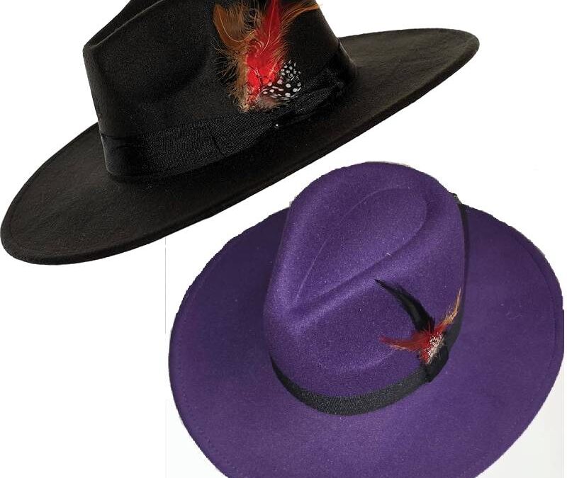 Wide Brim Felt Pimp Hat w Feather Trim