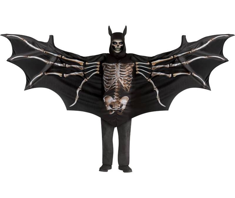 Wicked Bat Wing Costume