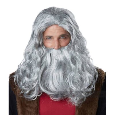 Renaissance Man Wig and Beard Set Gray Famous Artist Costume Wig