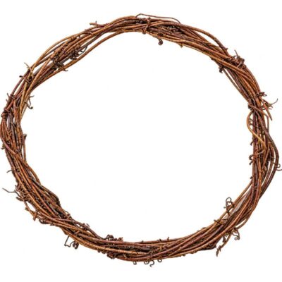 8-Inch Natural Thorn Crown with woven brown vines, twig texture, and rustic thorn-like detailing.