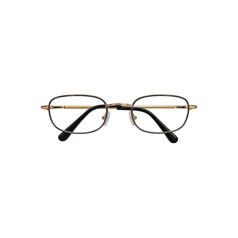 Clear Lens/Oval Wire Frame Eyeglasses (Black/Gold)