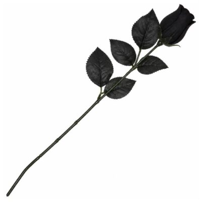 20.5 inch long-stem black silk rose bud with matching black leaves for gothic, Halloween, and decorative floral arrangements.